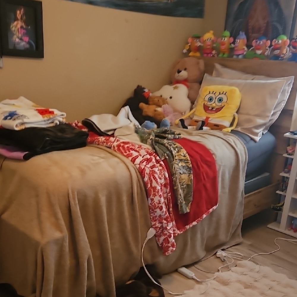 Twin Sized Wooden Bed With Mattress